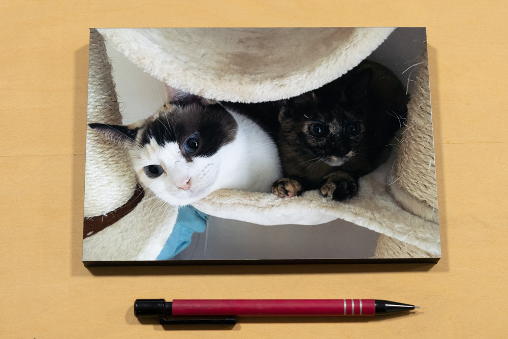 2L版スチロールパネル