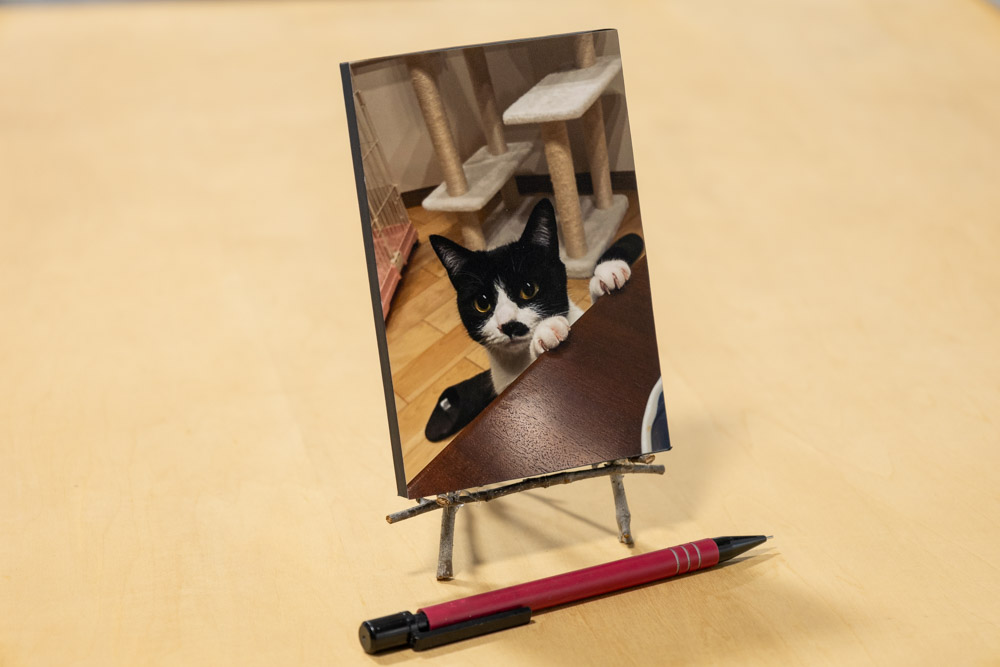 L版スチロールパネル