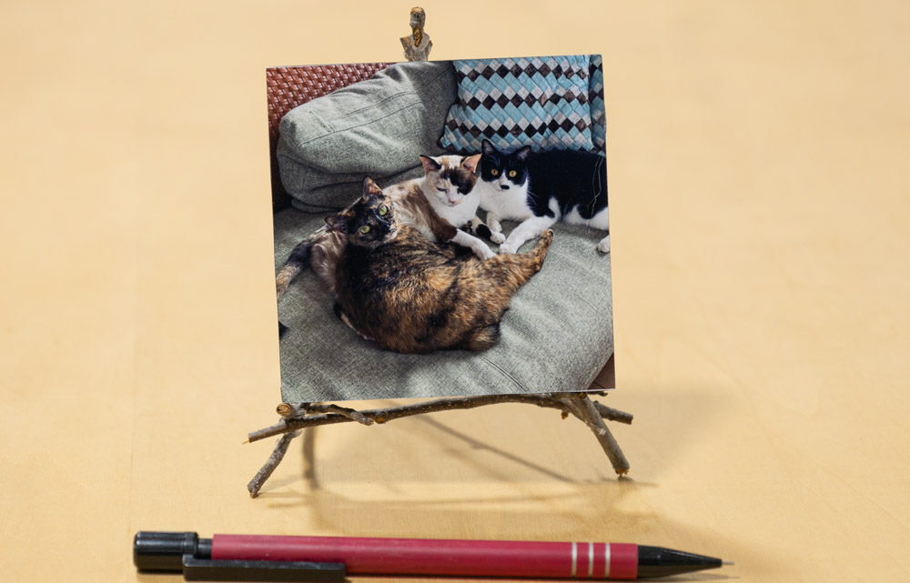 L版変形スチロールパネル